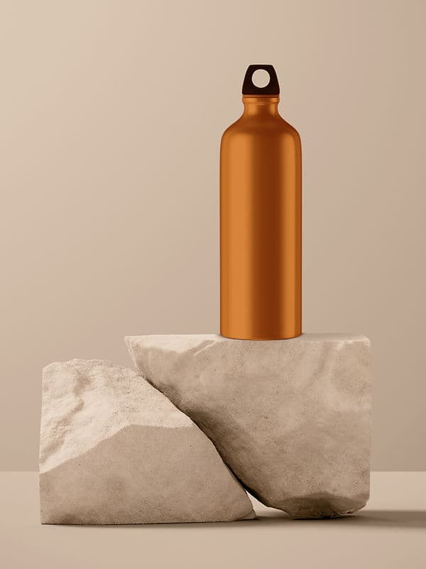 Bouteille en acier inoxydable